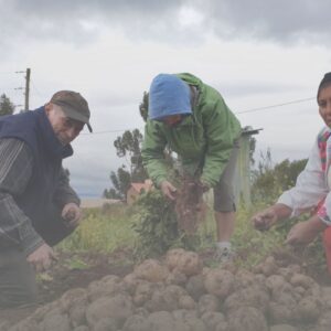 Tour Islas Flotantes Uros